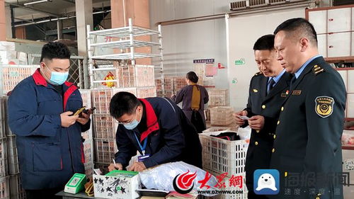 蔬菜瓜果 现场体检 菏泽市启动2023年食品安全 你点我检 活动