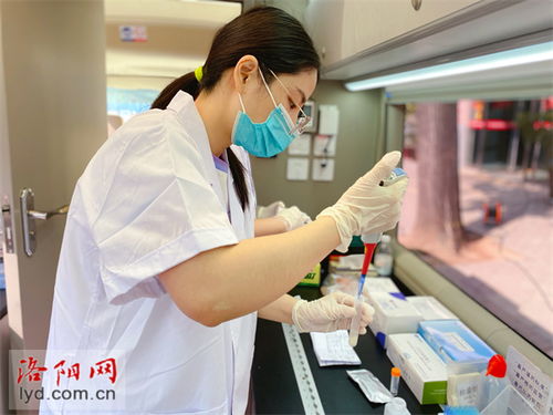 全程目击 洛阳中小学食堂所用食材现场 体检