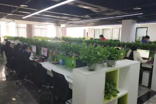一位优秀毕业生走过的路